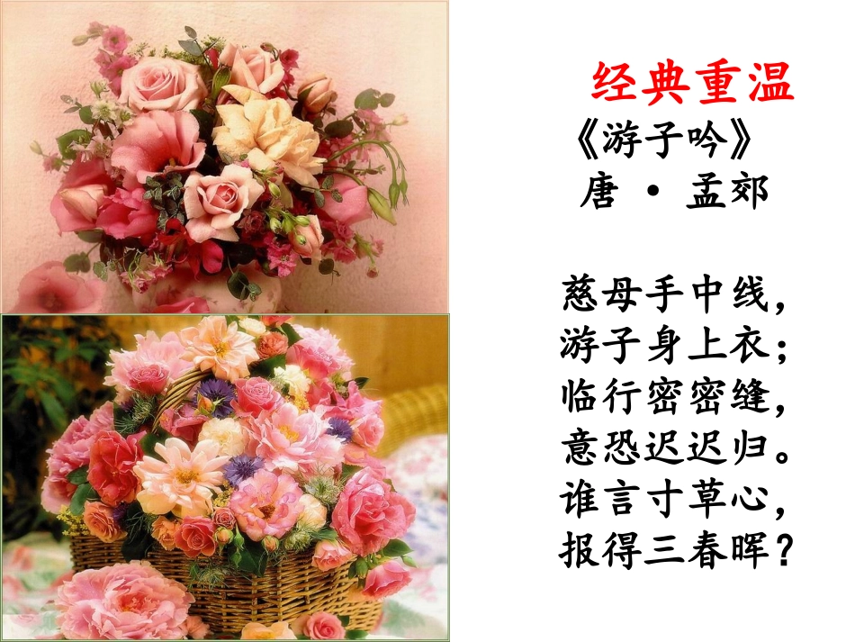 《我的母亲》课件_第1页