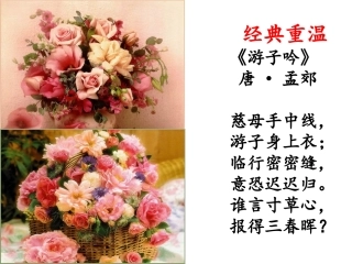 《我的母亲》课件