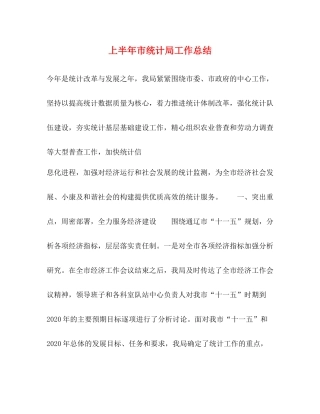 上半年市统计局工作总结