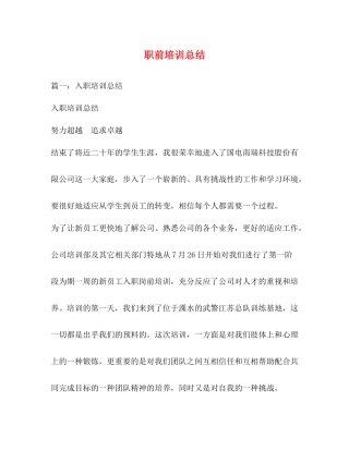 职前培训总结