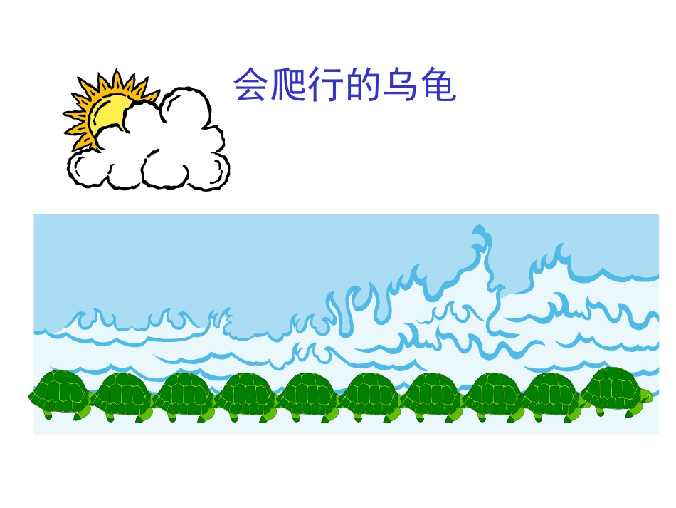 会爬行的乌龟_第1页