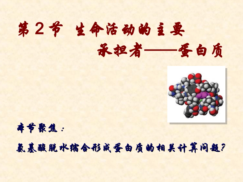 生命活动的主要承担者—蛋白质（第二课时）熊英明_第1页