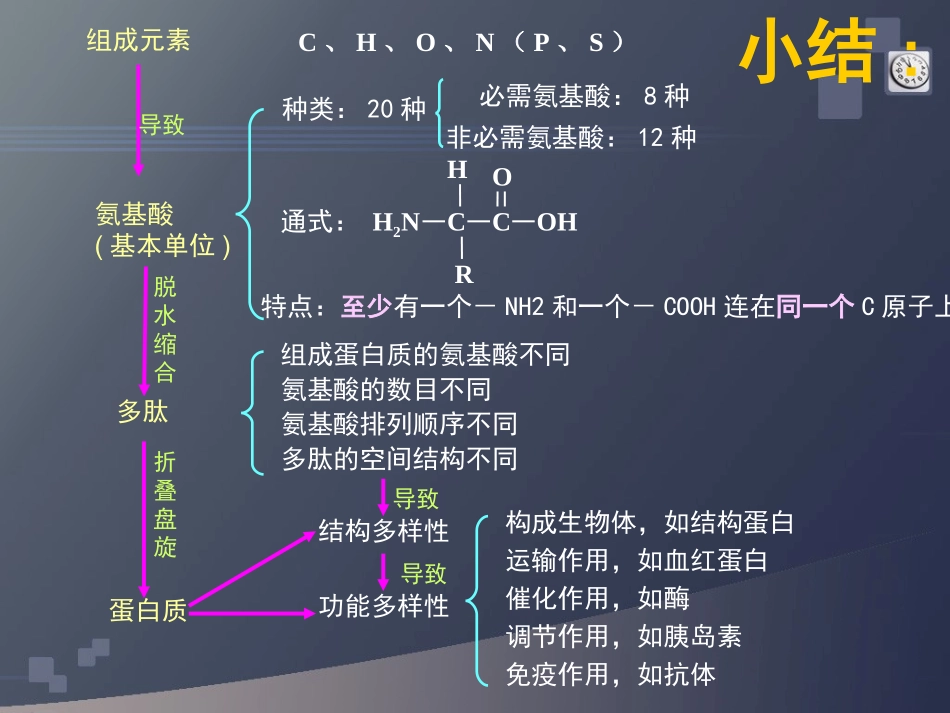 生命活动的主要承担者—蛋白质（第二课时）熊英明_第2页