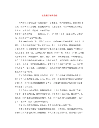 农业银行年终总结