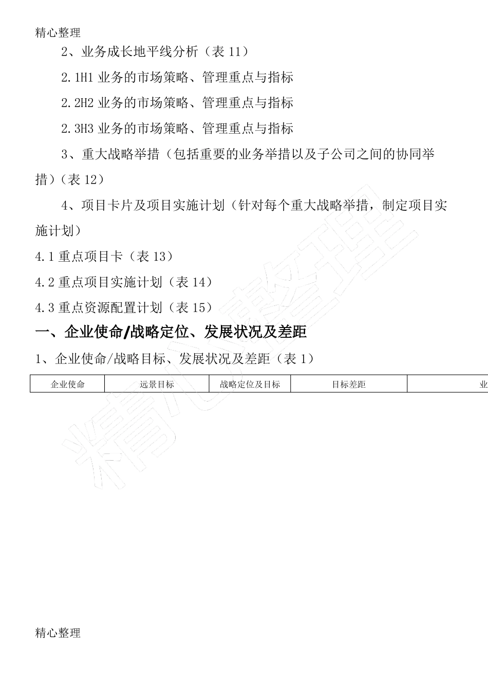2012018年集团战略规划方案BLM_第2页