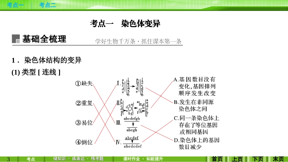 第21讲染色体变异与育种_第3页