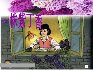 一株紫丁香上课版2