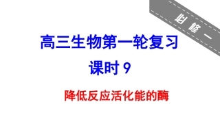 降低反应活化能的酶