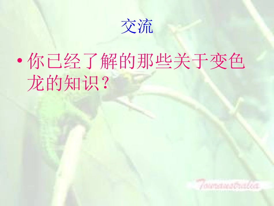 苏教版语文五年级上册第六课《变色龙》_第2页