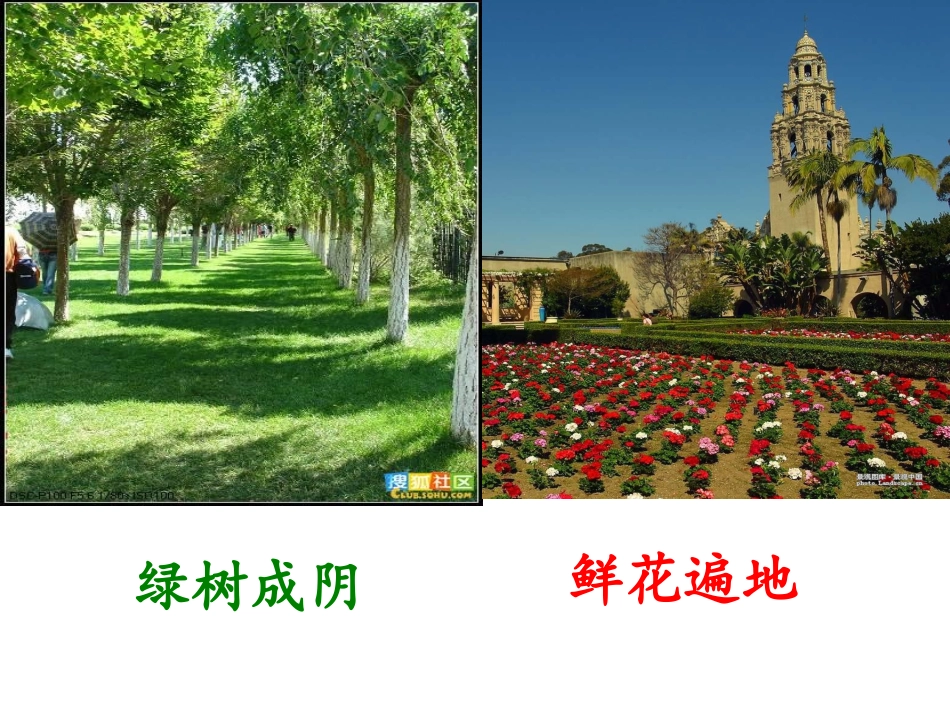 《沙漠中的绿洲》课件_第3页