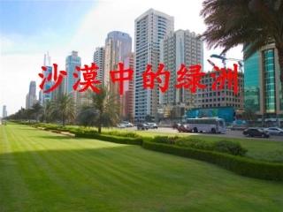 《沙漠中的绿洲》课件