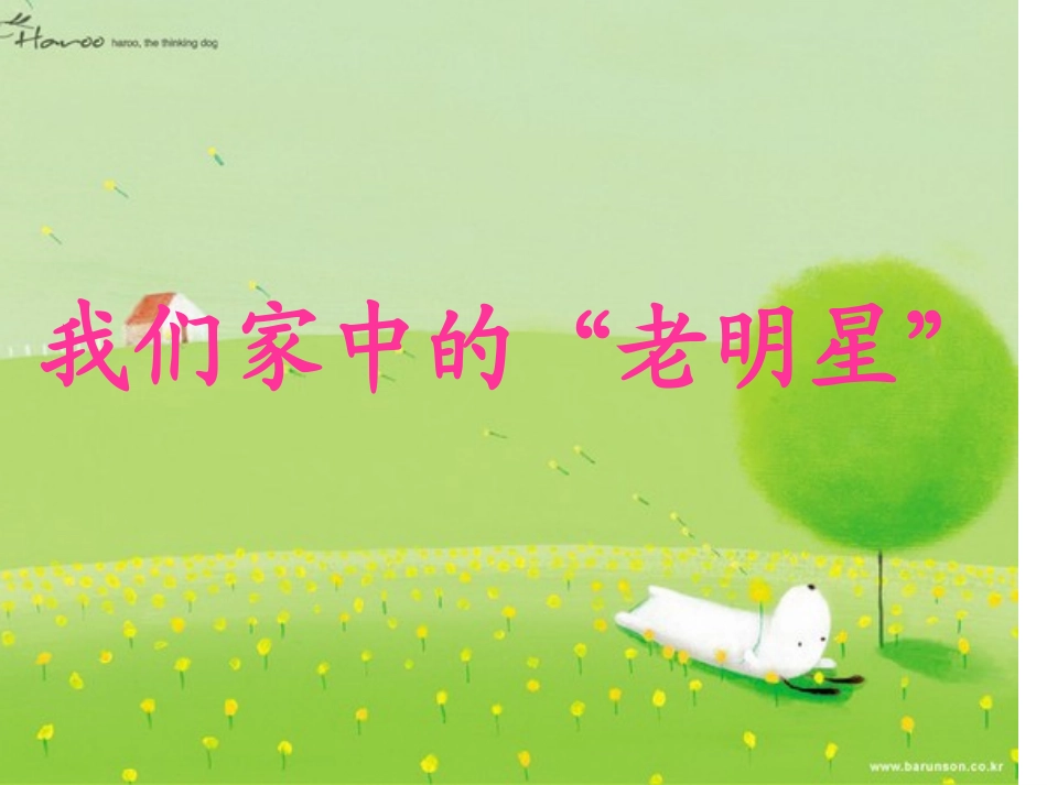 让爷爷奶奶高兴()_第2页