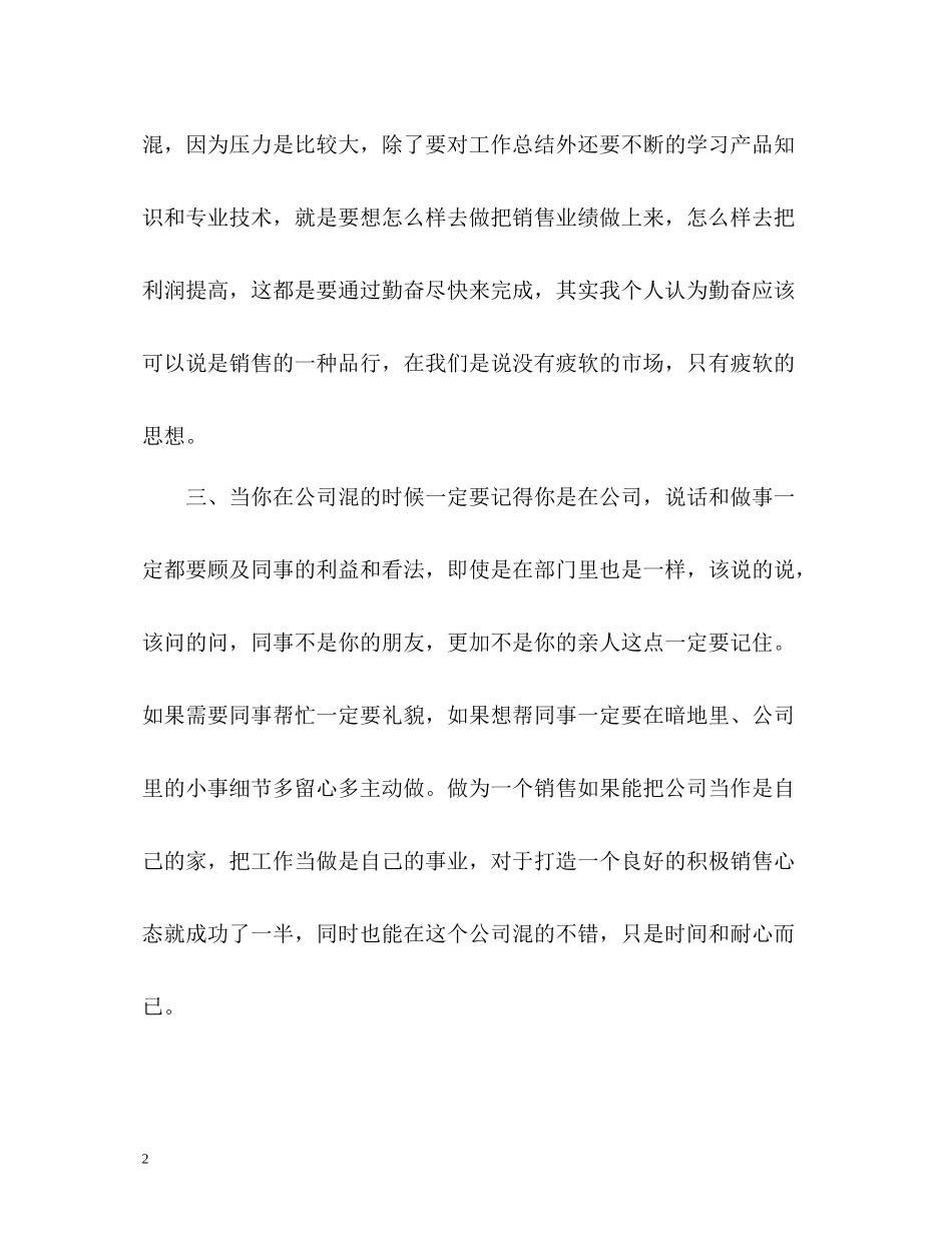 IT行业销售自我总结_第2页