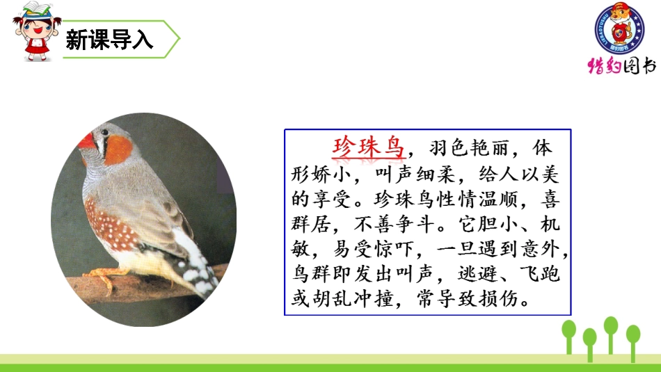 （2019秋）4珍珠鸟 (3)_第1页