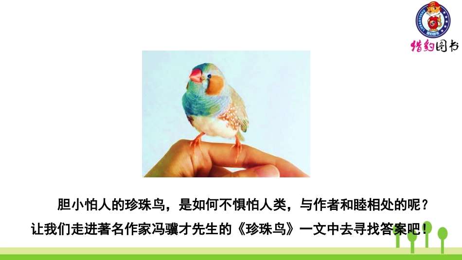 （2019秋）4珍珠鸟 (3)_第2页