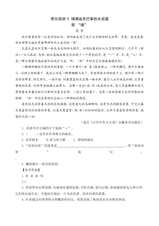 类文阅读-5铺满金色巴掌的水泥道