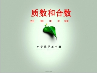 质数和合数PPT课件