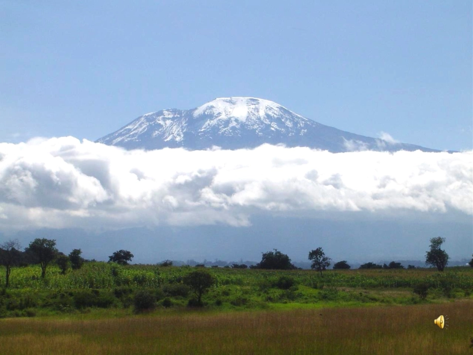 彩色的非洲[1]_第2页