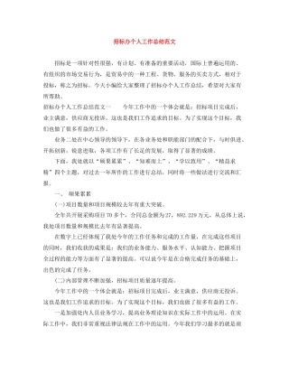招标办个人工作总结范文