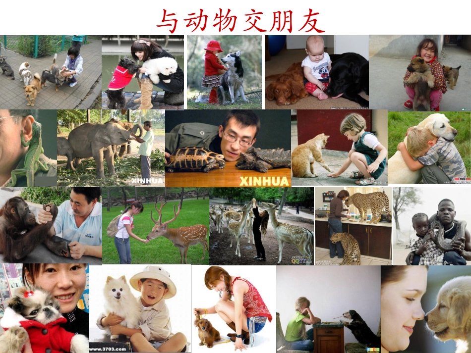 我的动物朋友_第2页