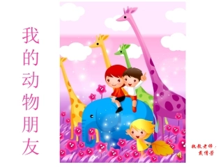 我的动物朋友