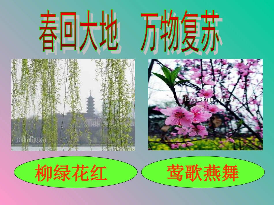 人教版一年级语文下册《春雨的色彩》课件PPT_第2页