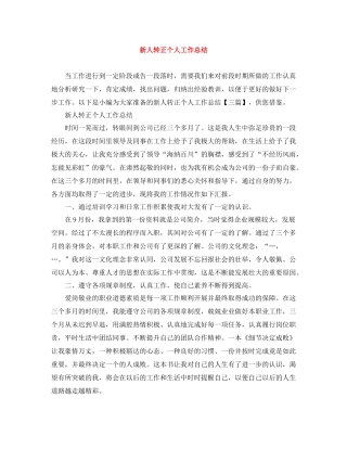 新人转正个人工作总结