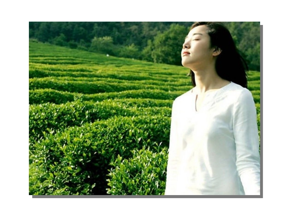 空气第一课时PPT_第1页