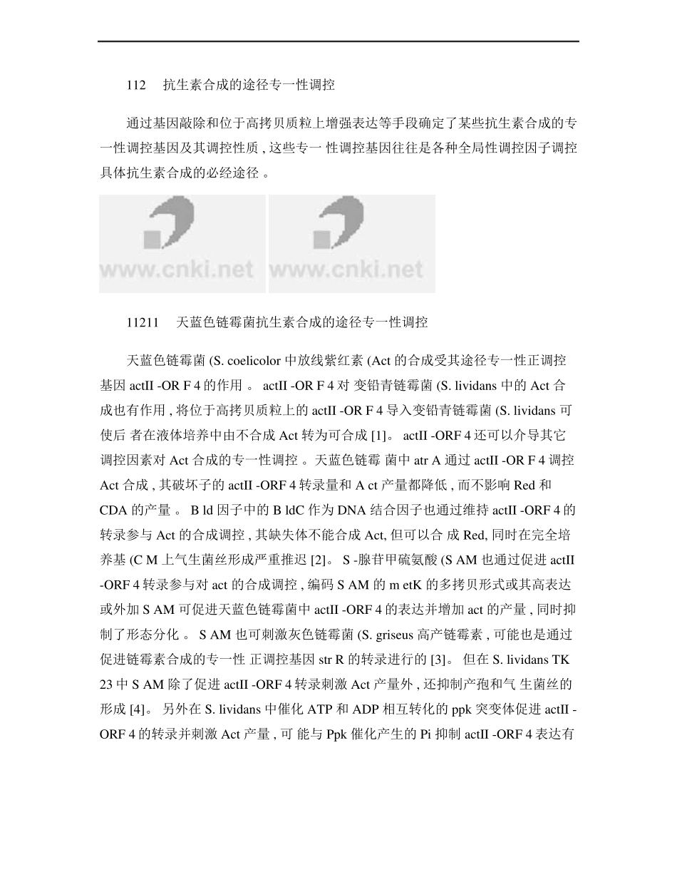 链霉菌次生代谢和形态分化调控研究进展精_第3页