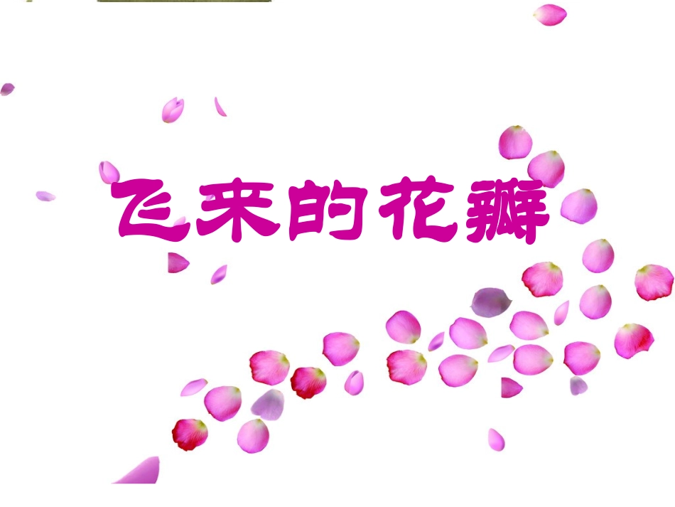 《飞来的花瓣》课件_第1页