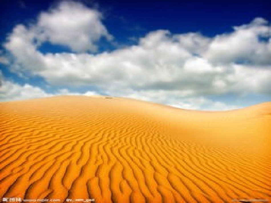 西风胡杨课件(1)_第1页