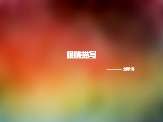 素描（眼睛的描写）