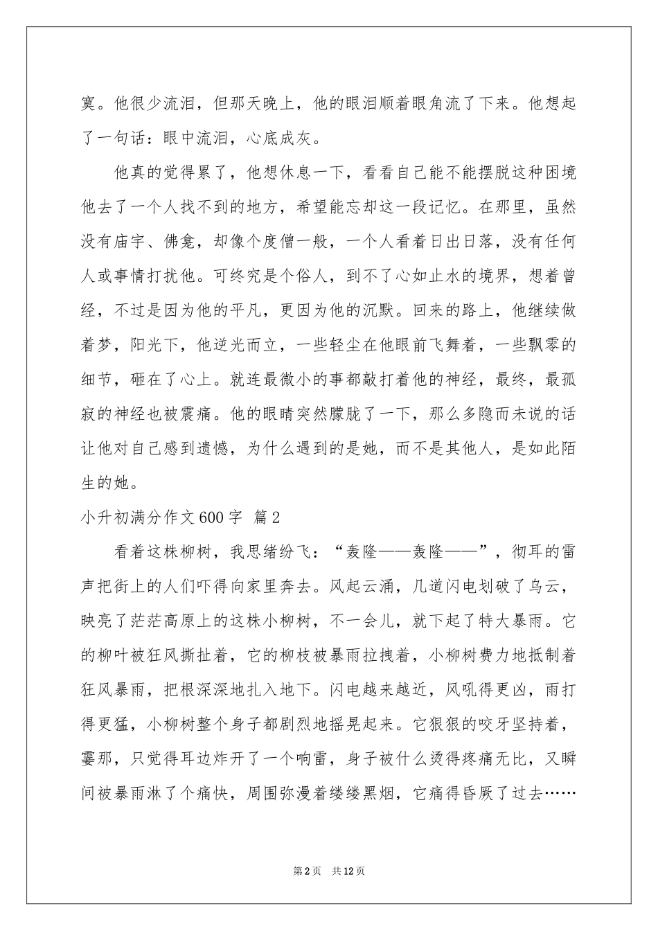 关于小升初满分作文600字合集9篇_第2页