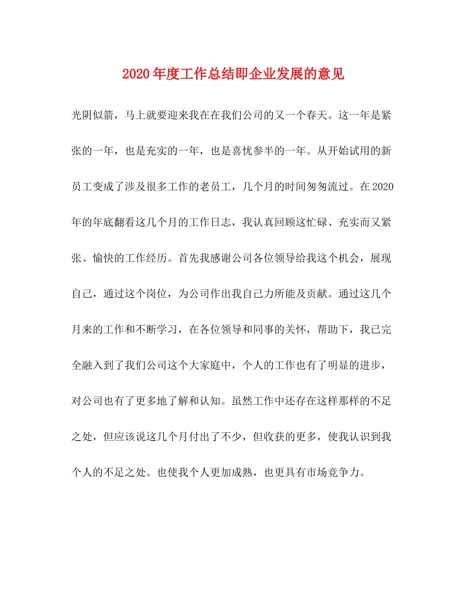 2020年度工作总结即企业发展的意见_第1页