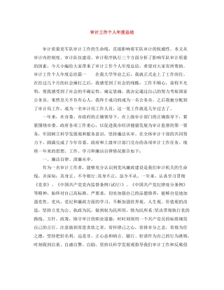 审计工作个人年度总结