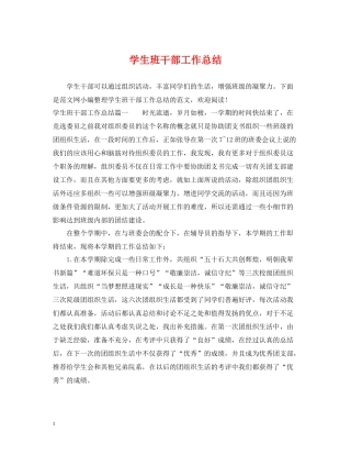学生班干部工作总结