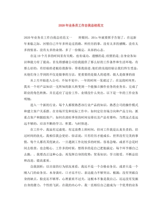 2020年业务员工作自我总结范文