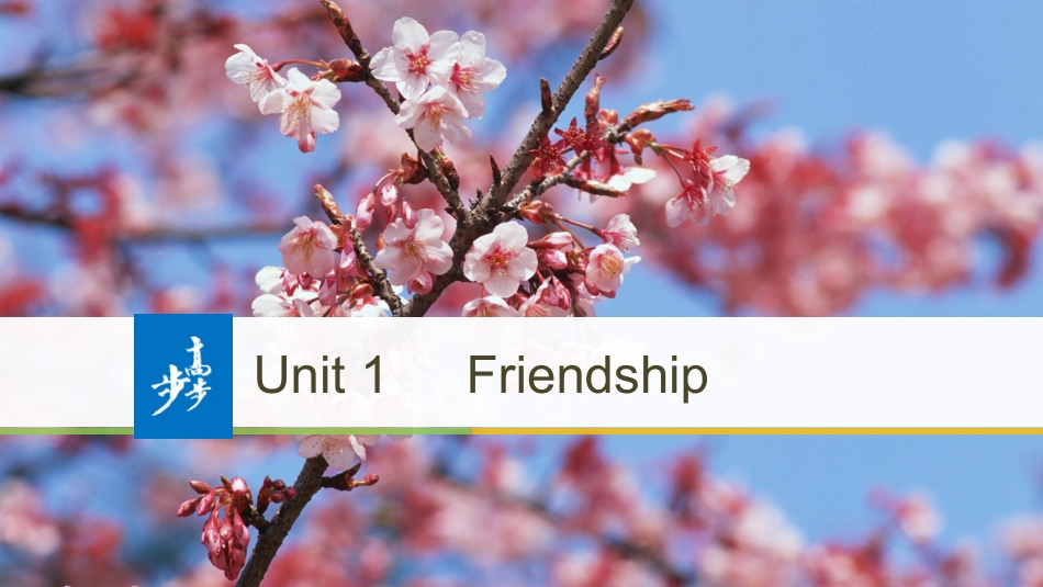 -版：（全国）必修一UnitFriendship-VocabularyBreakthrough（步步高）_第1页