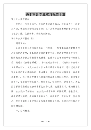 关于审计专业实习报告3篇