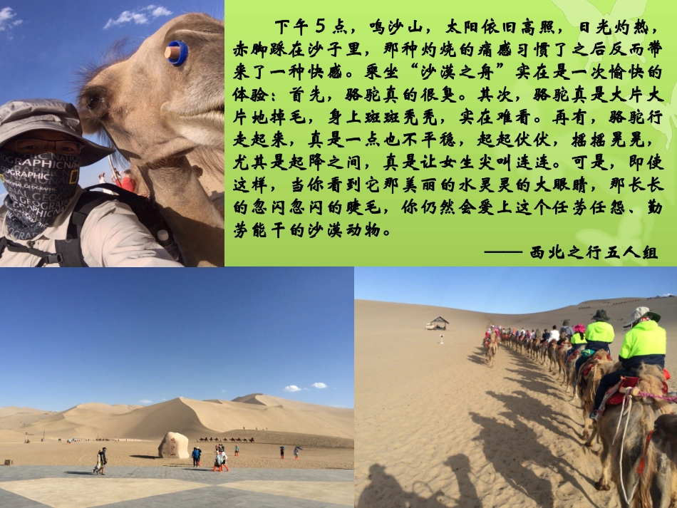 来自春天的召唤_第3页
