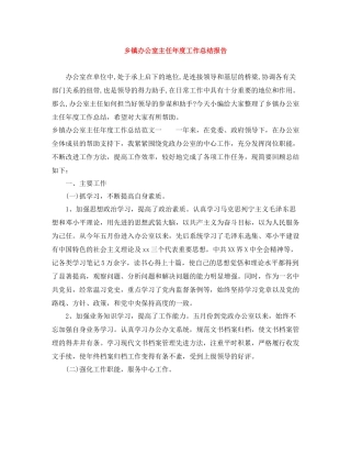 乡镇办公室主任年度工作总结报告