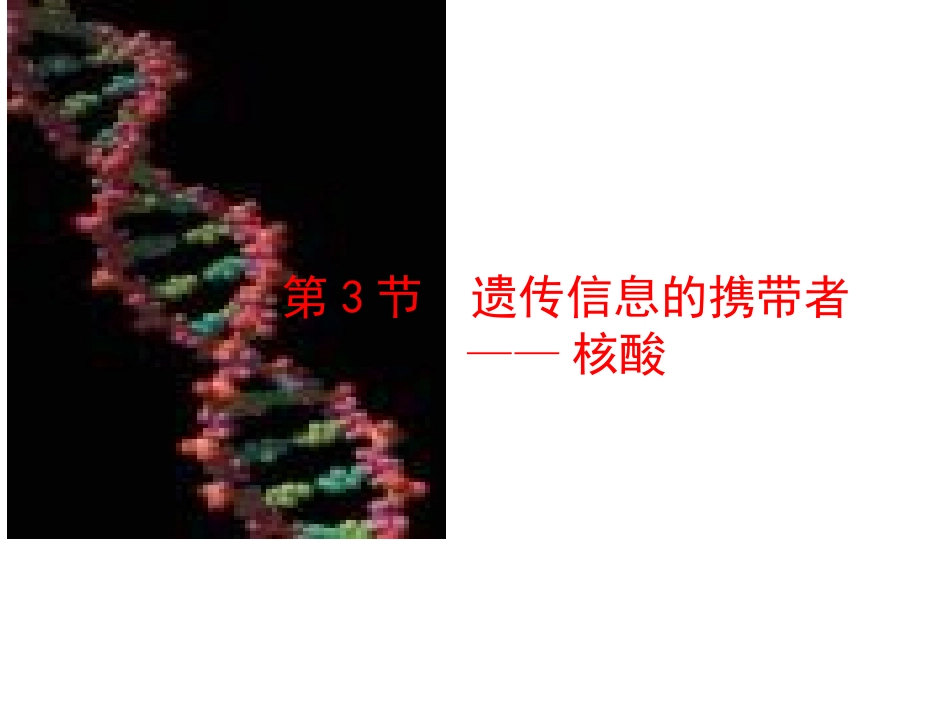 遗传信息的携带者--核酸课件（人教版必修I）_第1页