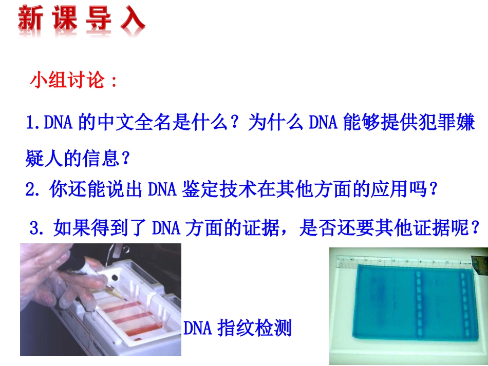 遗传信息的携带者--核酸课件（人教版必修I）_第2页