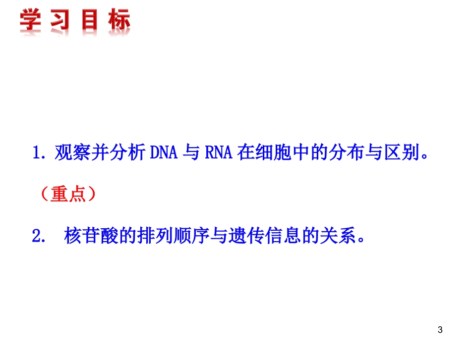 遗传信息的携带者--核酸课件（人教版必修I）_第3页