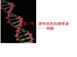 遗传信息的携带者--核酸课件（人教版必修I）