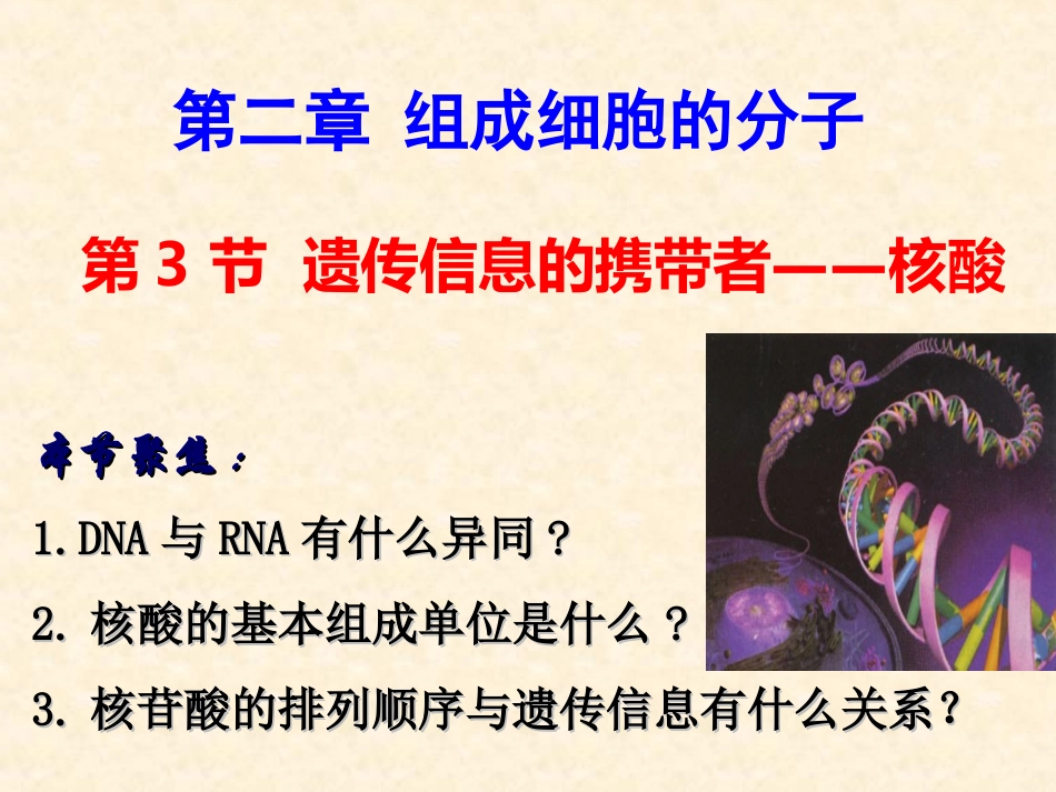 遗传信息的携带者—核酸_第1页