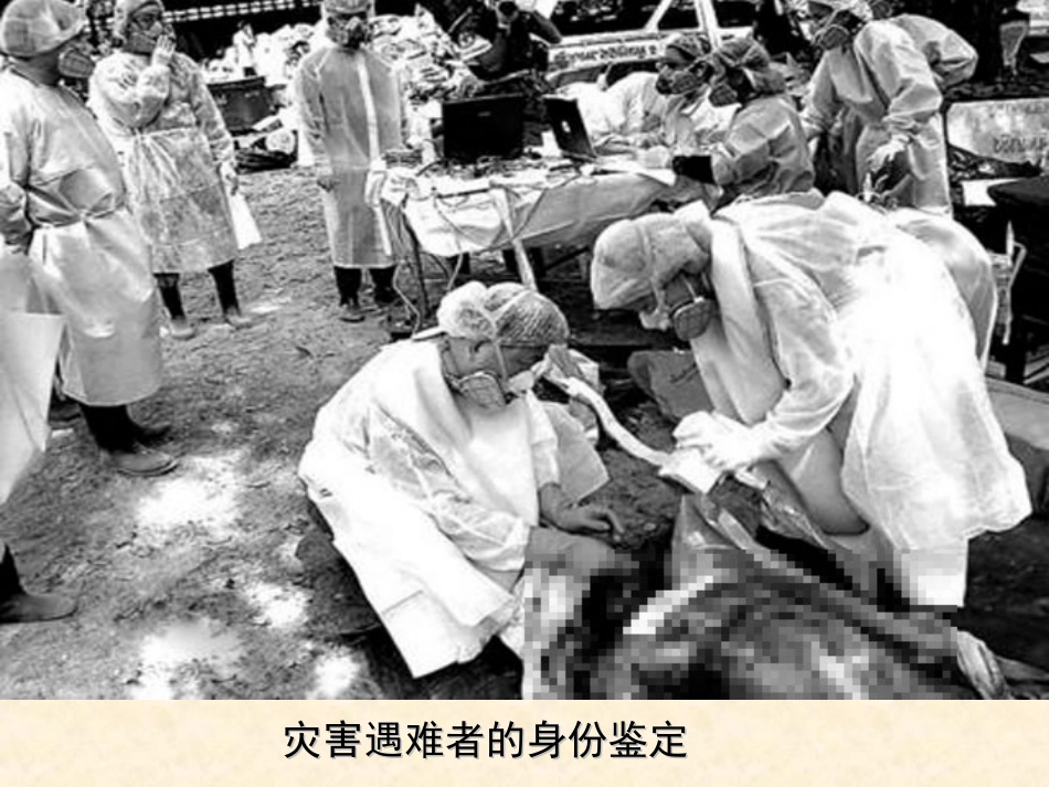 遗传信息的携带者—核酸_第3页