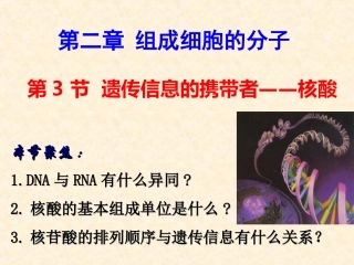 遗传信息的携带者—核酸