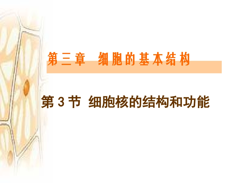 细胞核的结构和功能_第3页