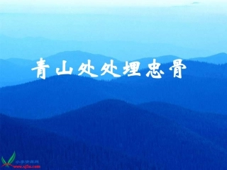 、青山处处埋忠骨